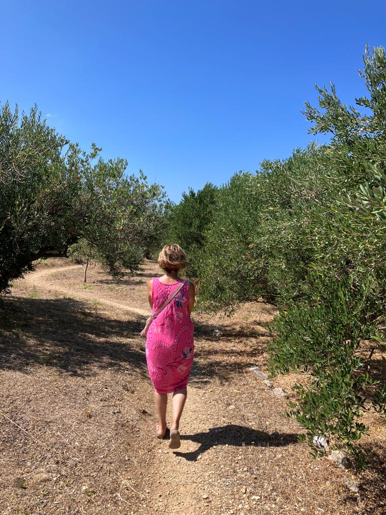 Mamina v olivovom háji
